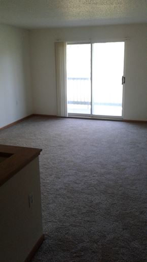 Thief River Falls apartment for rent - 1 bedroom living room - Patio door