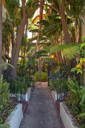 Los Angeles apartment for rent - a pathway through a garden with trees and plants