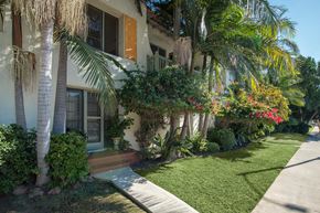 Los Angeles apartment for rent - a house with palm trees and a sidewalk in front of it