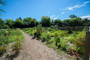 Gardening spaces