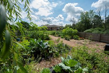 Gardening spaces