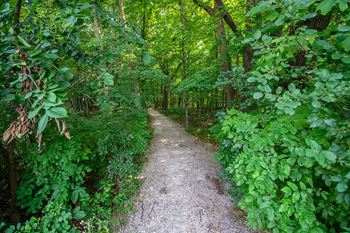 Walking path