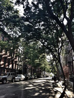 New York apartment for rent - a city street with trees and cars parked on the side