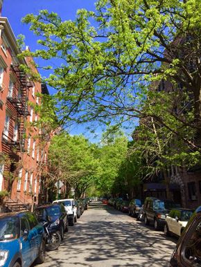 New York apartment for rent - a tree lined street with cars parked on the side of it