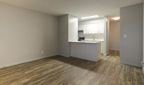 Austin apartment for rent - A kitchen area with a countertop and cabinets.