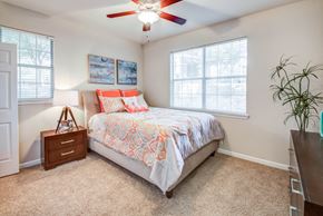 Austin apartment for rent - Nolina Flats - Spacious Bedroom with Plush Carpeting