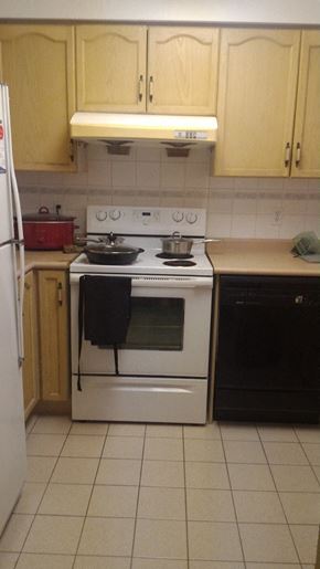 Toronto apartment for rent - A kitchen with a white stove and black oven.