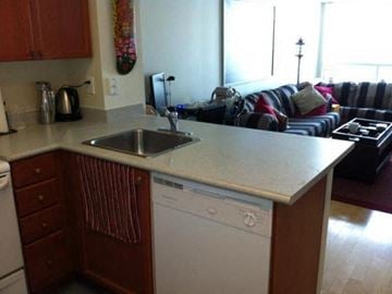Toronto apartment for rent - A kitchen with a white dishwasher and a sink.