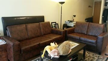 Toronto apartment for rent - A living room with a brown couch and a coffee table.