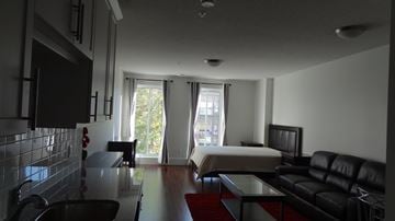 Toronto apartment for rent - A black leather couch sits in a living room with a red carpet.