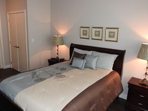 Toronto apartment for rent - A bedroom with a large bed and two lamps.