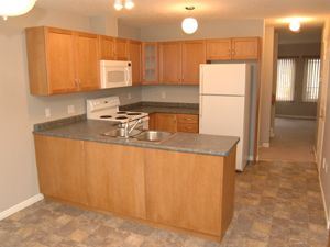 Waterloo apartment for rent - A kitchen with wooden cabinets and a white refrigerator.