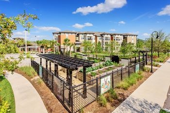 Nona park village apartments pool area community garden