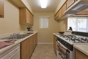 Cathedral City apartment for rent - a kitchen with a stove top oven and a sink
