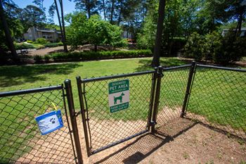 Fenced dog park