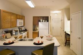 Marietta apartment for rent - a kitchen with a counter and a sink and a refrigerator
