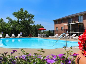 Swimming pool1