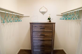 Large walk-in closets