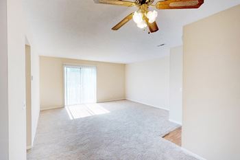 Ceiling fan