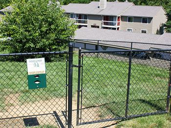 Dog park