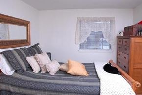 Derry apartment for rent - a bedroom with a bed and a cat on it