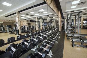 Harrison apartment for rent - the gym is equipped with weights and cardio equipment