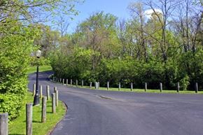 Batavia apartment for rent - a winding road in a park with trees