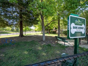 Bark avenue dog park