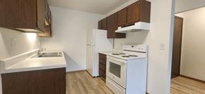 Devils Lake apartment for rent - an empty kitchen with a stove refrigerator and sink