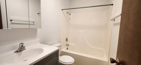 Devils Lake apartment for rent - a bathroom with a shower and a sink and a toilet