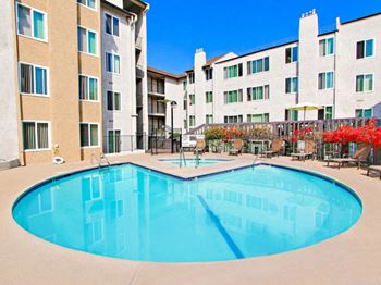 Sparkling pool and spa