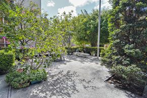 San Diego apartment for rent - a courtyard with plants and trees and a pole