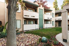San Diego apartment for rent - a yard with a tree in front of an apartment building
