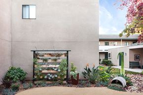 San Diego apartment for rent - a garden with succulent plants in front of a building