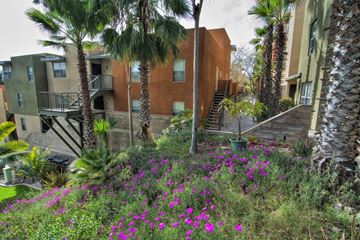 San Diego apartment for rent - a garden with palm trees and purple flowers in front of buildings