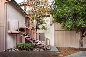 San Diego apartment for rent - a staircase in front of a building with a tree