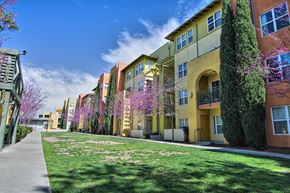 San Diego apartment for rent - a row of apartment buildings with green grass and flowering trees