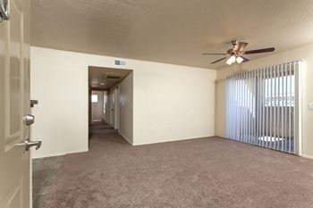 Ceiling fan