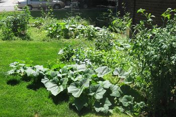 Cascadianterrace_amenities_garden