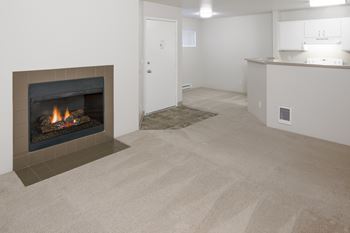 Fireplace*