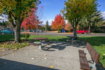 Picnic tables