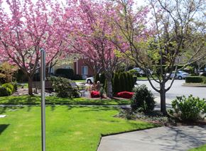 Sequim apartment for rent - SuncrestVillage_Photo_FrontView
