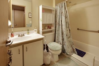 Security grab bars in bathroom