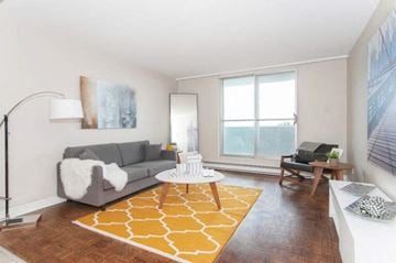Ottawa apartment for rent - A living room with a grey couch and a yellow rug.