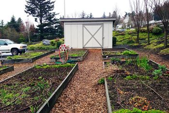 Community garden