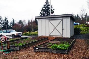 Community garden