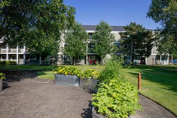 Community garden