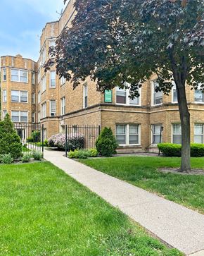Oak Park apartment for rent - A tree in front of a brick building.