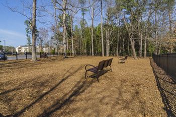 Dog park