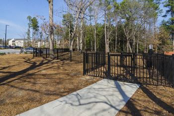 Dog park